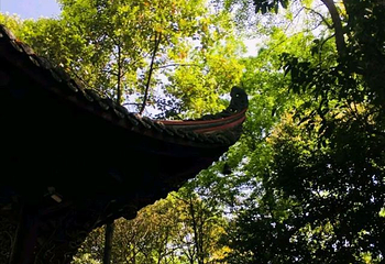 昭觉寺第 26 张图片