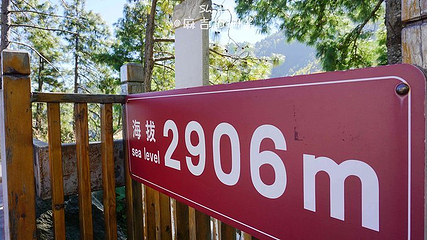 七龙女池第 22 张图片