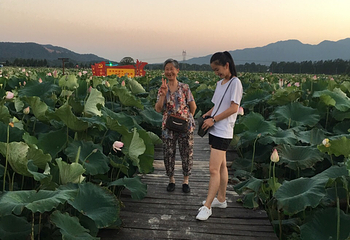永修荷天下第 2 张图片