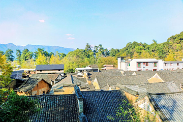 海洋村第 15 张图片