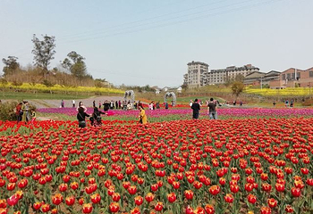观音湖第 60 张图片