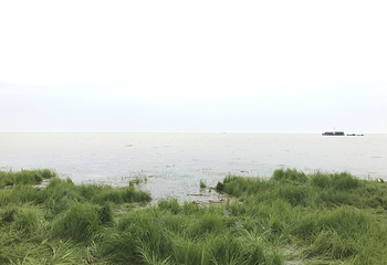 岳阳楼景区第 208 张图片