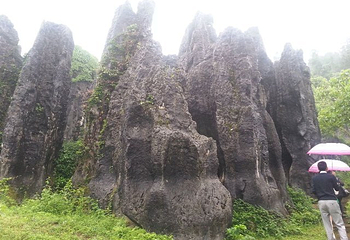 思南石林风景区第 16 张图片