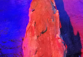 狼巷迷谷第 25 张图片