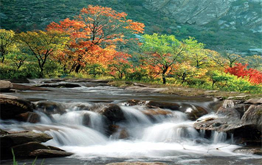圣水梁九龙湾景区第 8 张图片