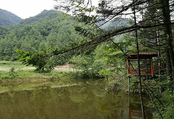 神农天池景区第 16 张图片