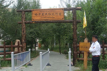 哈萨克民俗风情园第 20 张图片