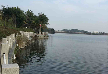 鸳鸯湖公园第 17 张图片
