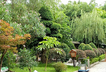凤凰河御品堂第 41 张图片