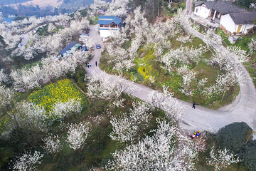 樱桃山旅游景区第 8 张图片