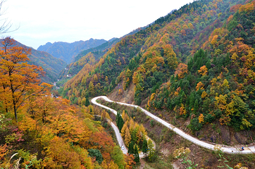 光雾山旅游景区第 115 张图片