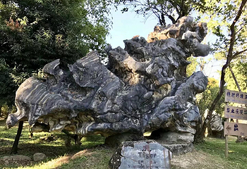 勐巴娜西珍奇园第 40 张图片