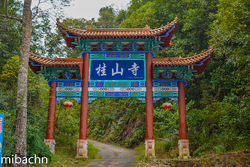 新丰江国家森林公园桂山风景区第 45 张图片