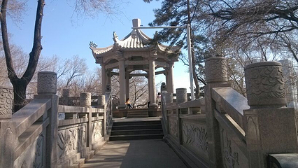 红山公园第 34 张图片