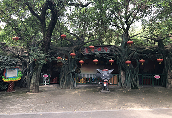锡惠名胜区第 91 张图片