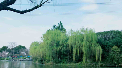 闵行体育公园第 13 张图片