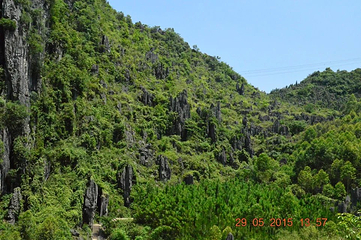 泥凼石林风景区第 4 张图片