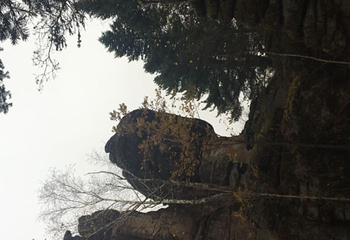 汤旺河林海奇石景区第 60 张图片