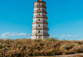 释迦佛舍利塔第 17 张图片