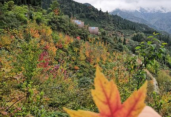 川西红枫岭第 70 张图片