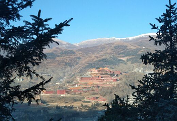 南山广化寺第 23 张图片