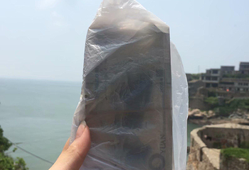 青浜第 10 张图片