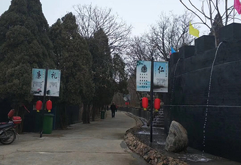 天山仙人谷第 4 张图片