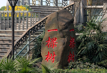 南山一棵树观景台第 30 张图片
