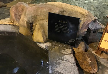 水师森林温泉度假区第 36 张图片