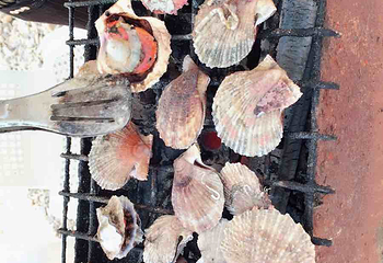 兴成孙家赶海园第 30 张图片