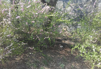 北山公园第 44 张图片
