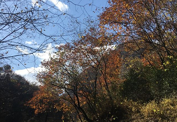 上方山国家森林公园第 36 张图片