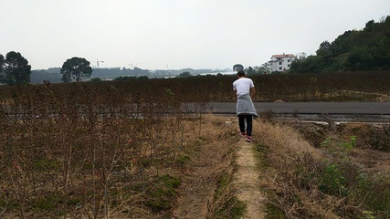 庐山西海花千谷第 24 张图片
