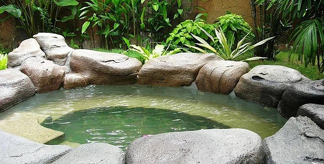 冠景温泉第 13 张图片