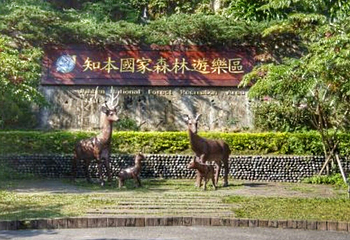 台湾知本森林游乐区第 3 张图片