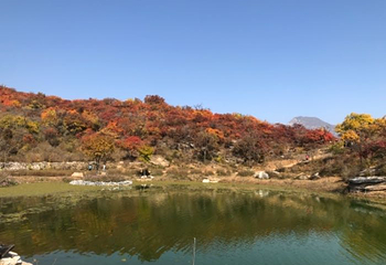坡峰岭第 65 张图片