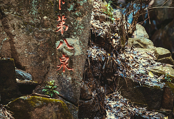 洪崖丹井景区第 28 张图片
