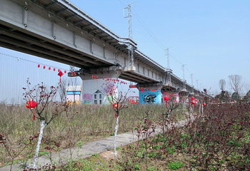 新枫林花海无忧牧场第 30 张图片