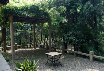 罗汉寺第 5 张图片