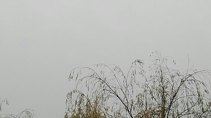 团氿风景区-宜园第 29 张图片