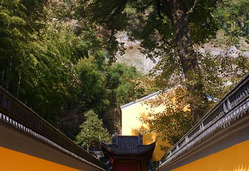 新昌大佛寺景区第 114 张图片