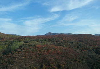 韶山峡第 21 张图片