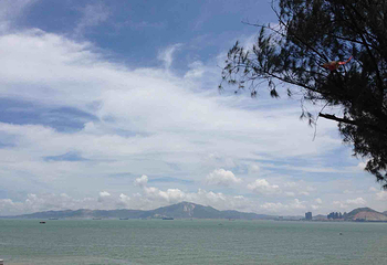 观海园度假村第 12 张图片