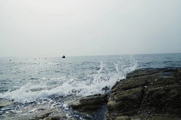南大港湿地第 25 张图片