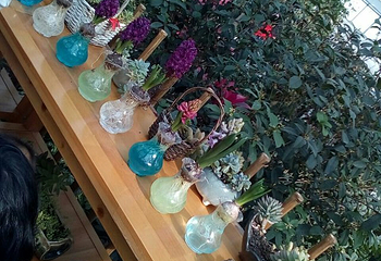 南和农业嘉年华第 36 张图片