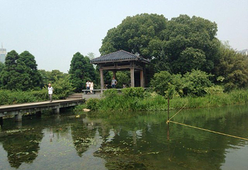 丁蜀太湖绿道骑行第 7 张图片