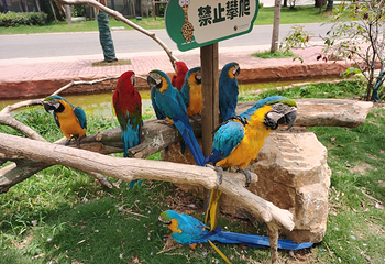 南京金牛湖野生动物王国第 2 张图片