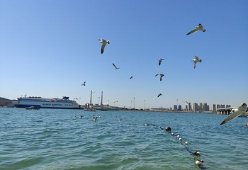 大连滨海国家地质公园第 29 张图片