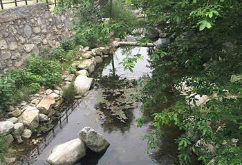 云露山景区第 23 张图片