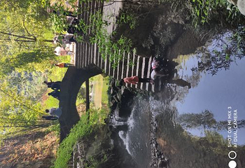 酉阳桃花源景区第 49 张图片